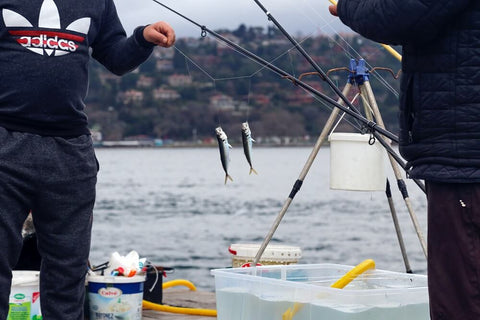 How to fish for trout in a river?