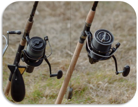 different fishing reels