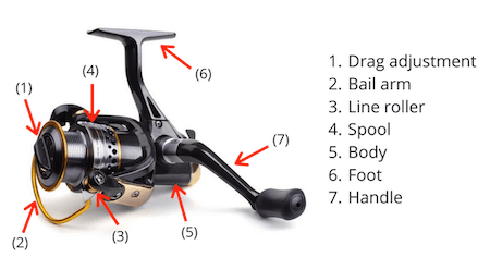 The Composition Structure Of Fishing Reels - Gomexus