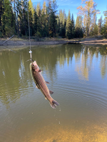 Trout fishing tips for beginners