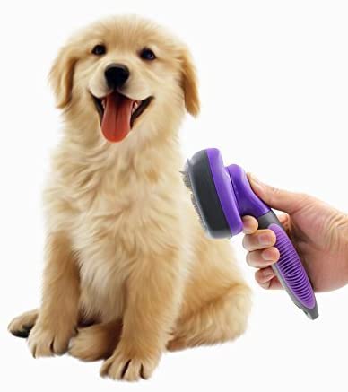 Dog Brush