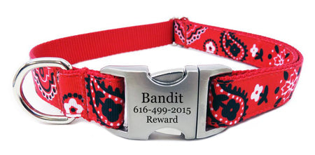 Bandana Dog Collar