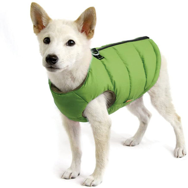 Dog Jacket