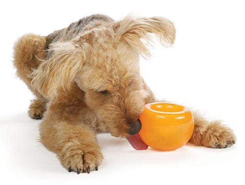 Beating Boredom: How To Choose The Best Interactive Dog Toys