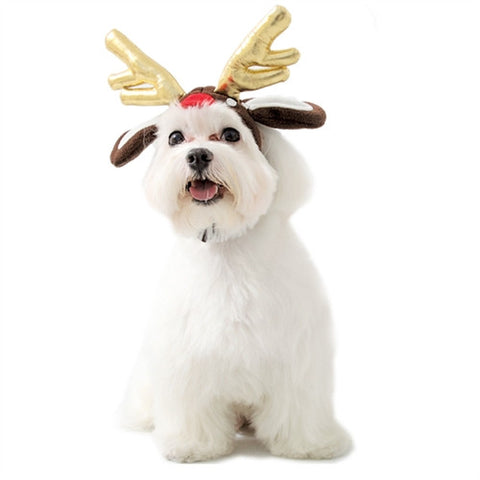 Viking Helmet Dog Hat – Furbabeez