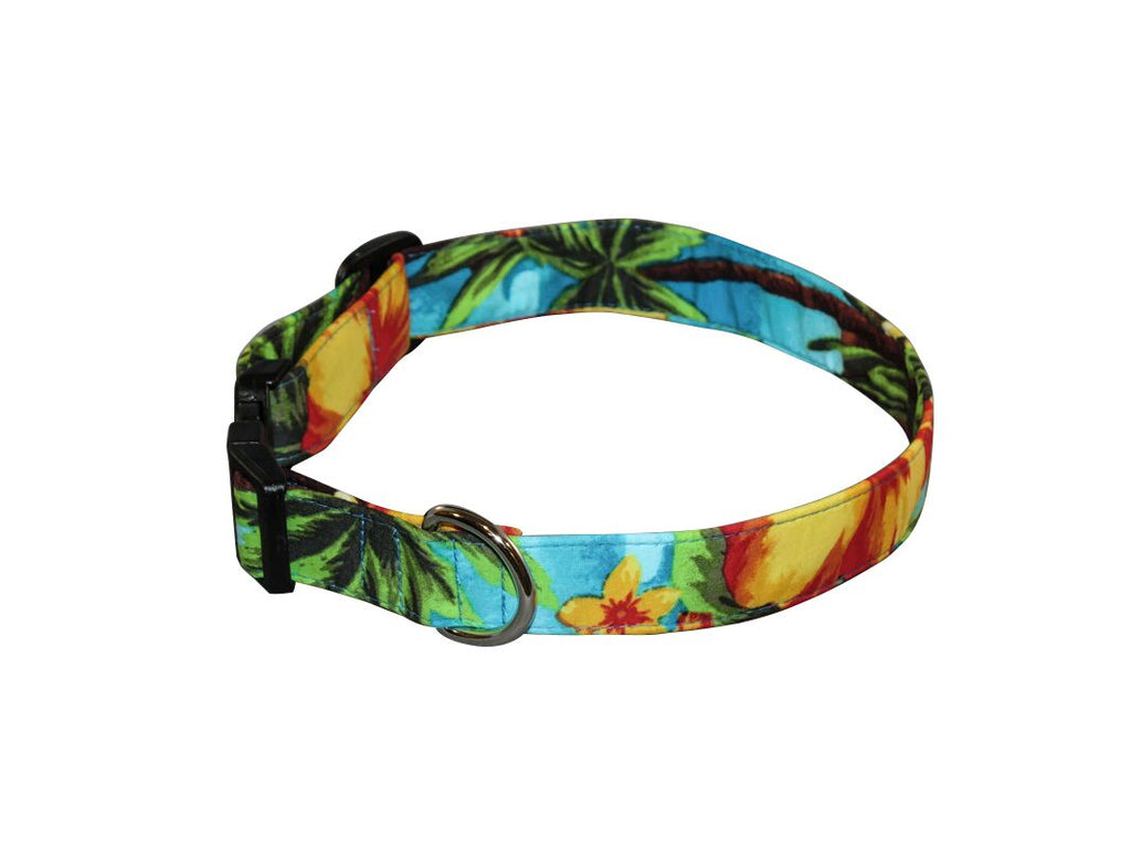 tropical dog collars