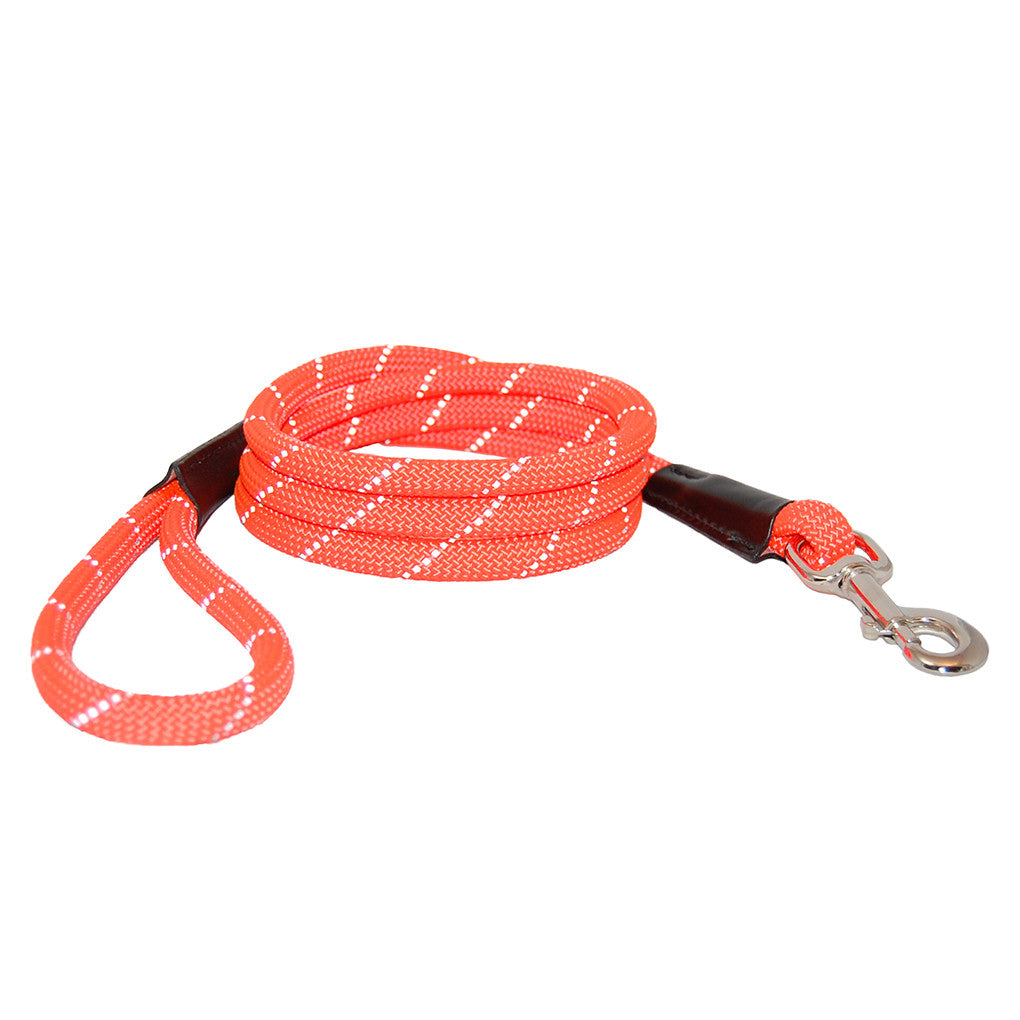 reflective dog leash