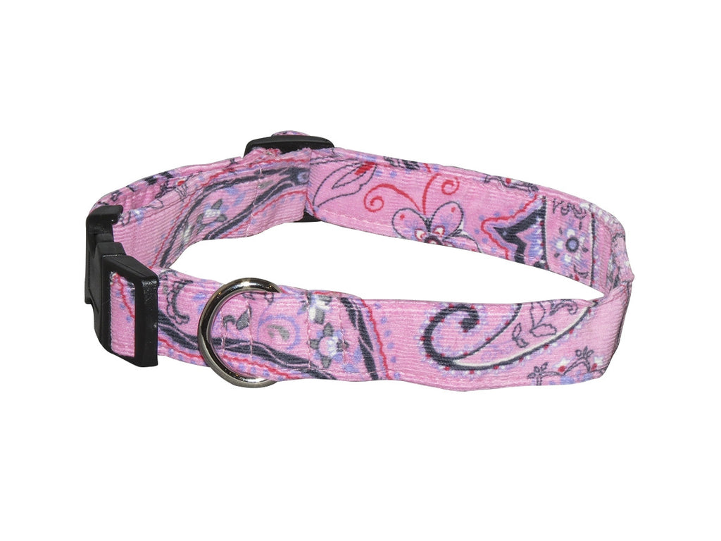 pink paisley dog collar