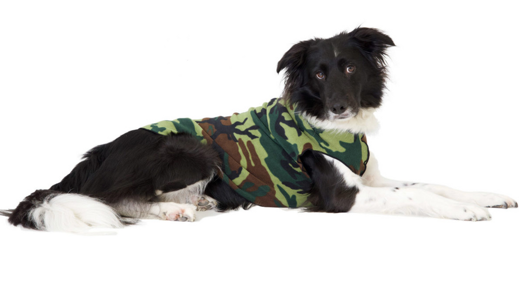 Gold Paw Stretch Fleece Dog Coat - Camouflage – PupLife Supplies