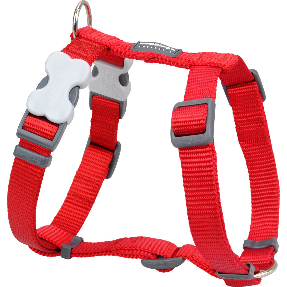 buckle dog harness