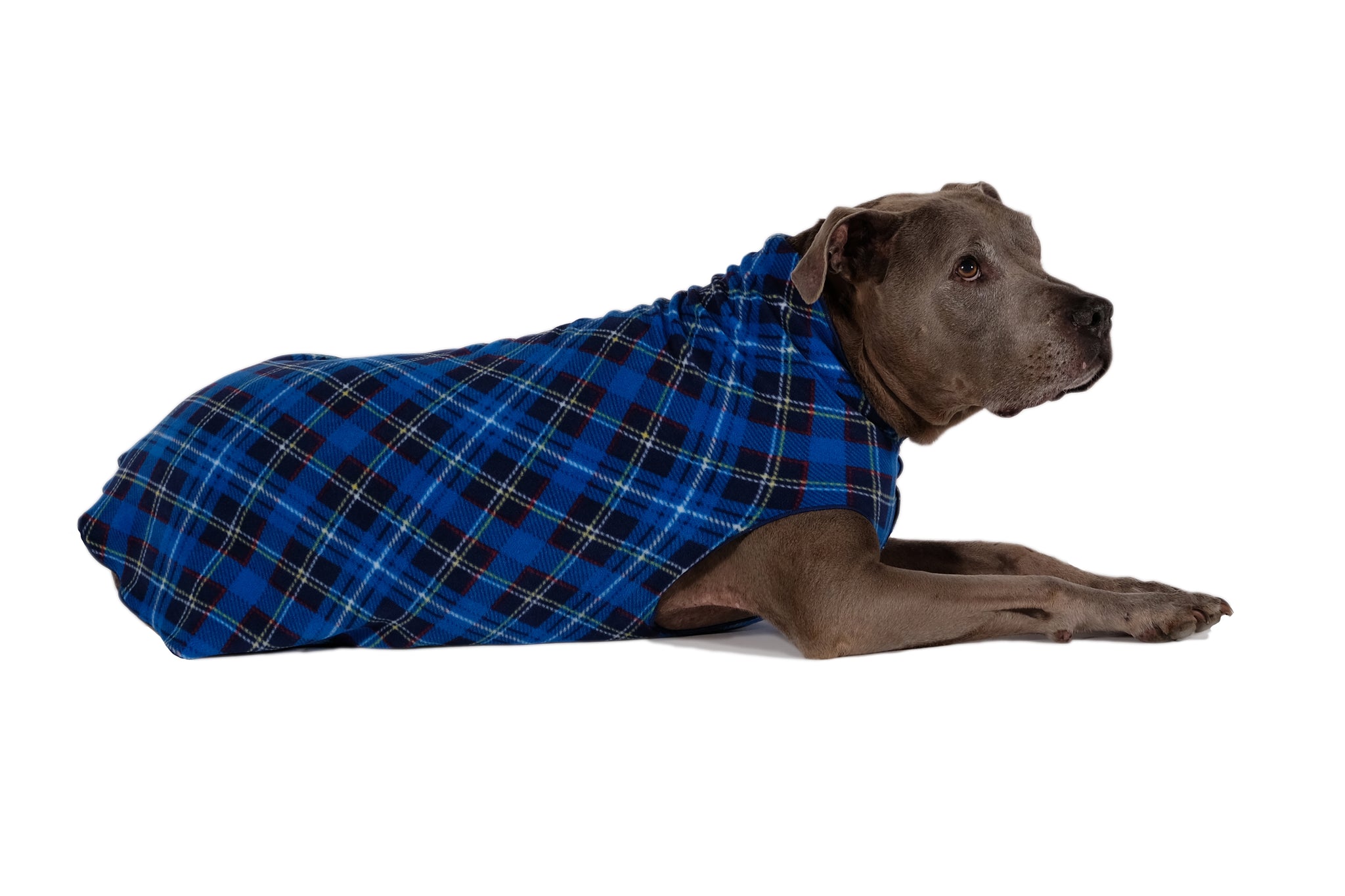 gold paw stretch fleece dog jacket