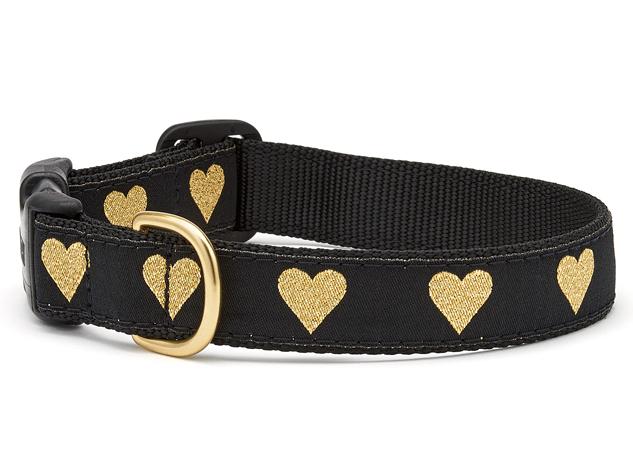 gold dog collar and lead