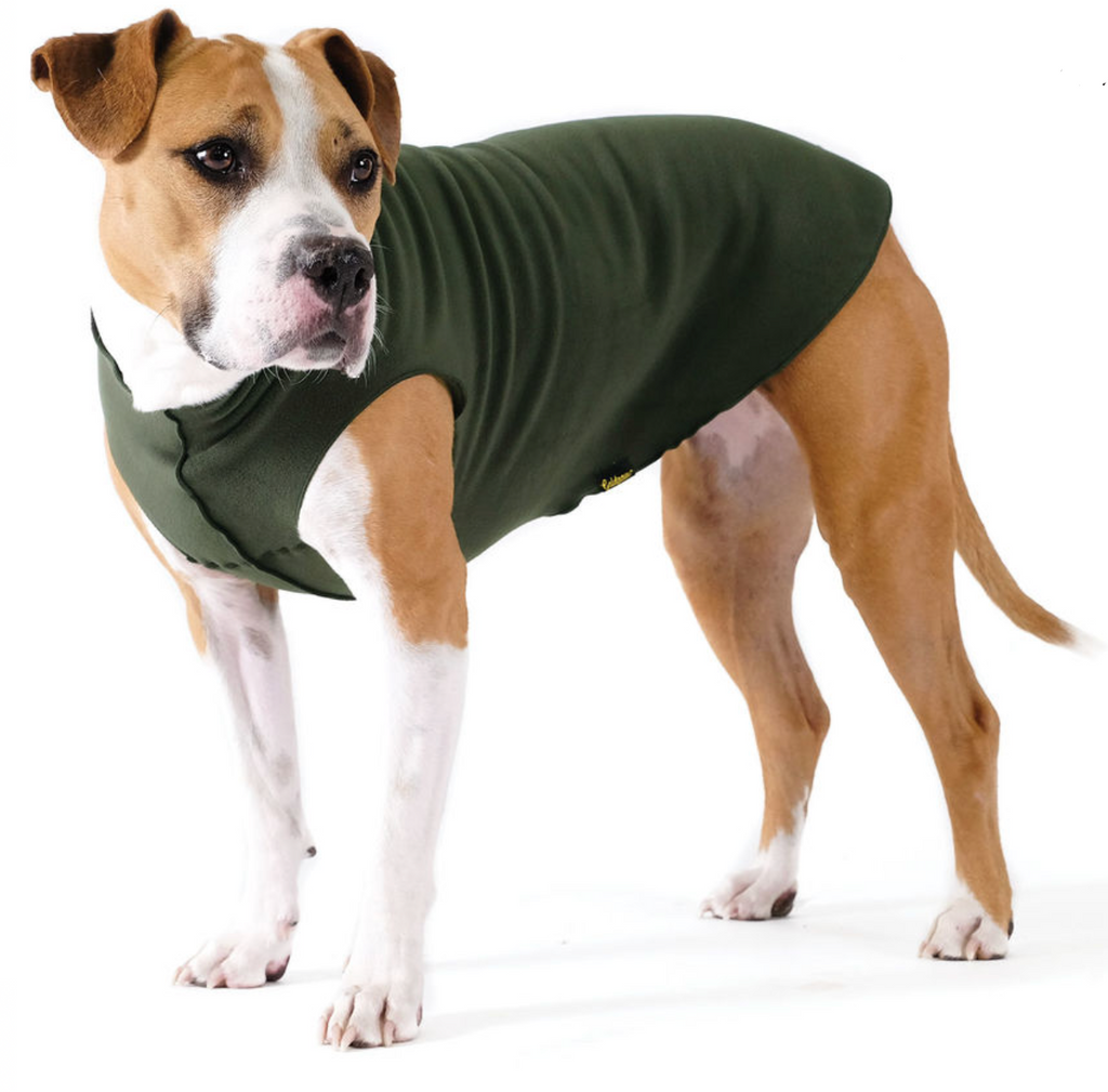 hunter dog products