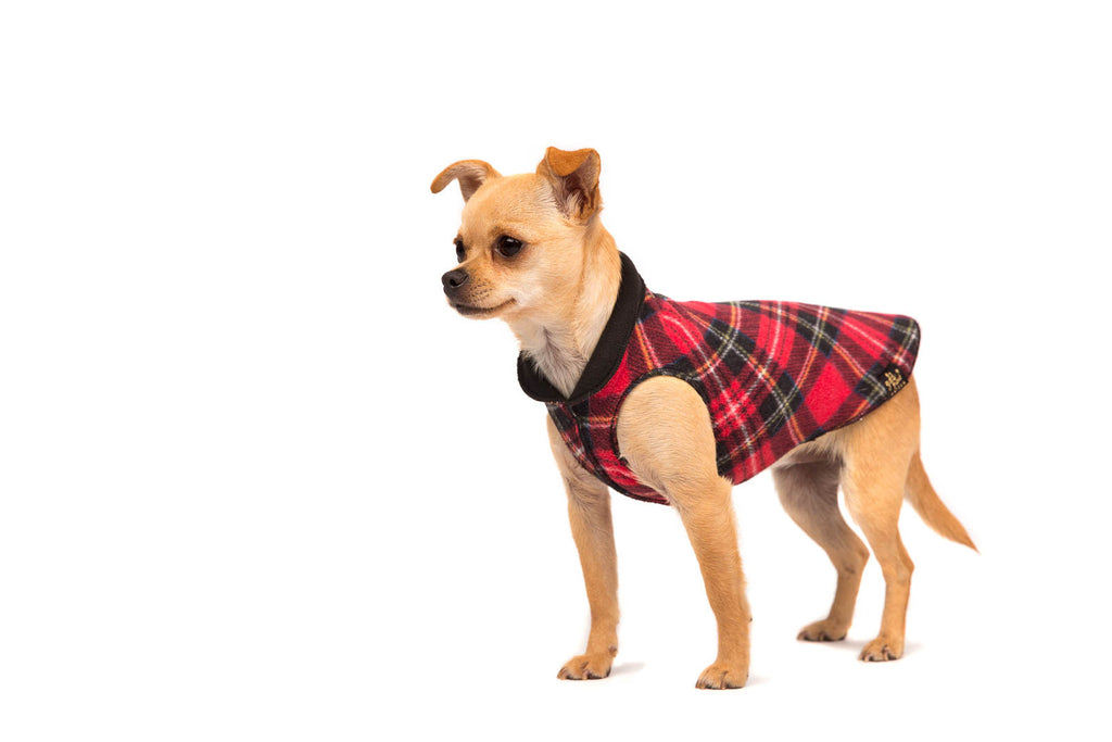 red plaid dog sweater