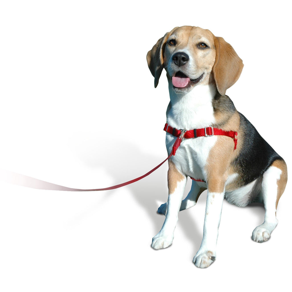 SENSE-ible No Pull Dog Harness - Black – PupLife Dog Supplies