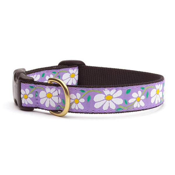 Up Country Daisy Dog Collar | PupLife Dog Supplies