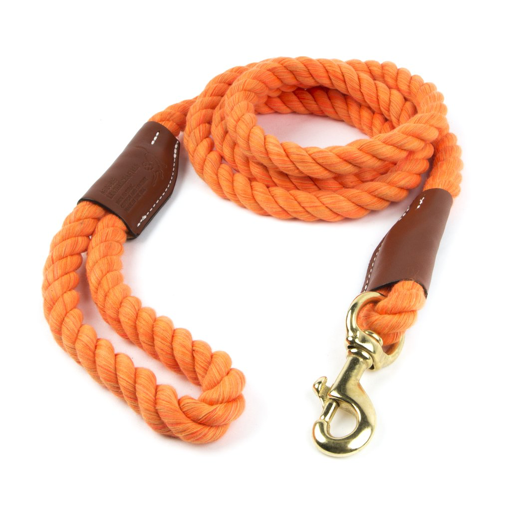 braided dog leash