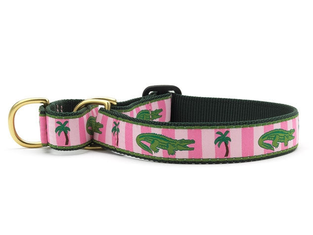 Up Country Alligator Martingale Dog Collar – PupLife Dog Supplies