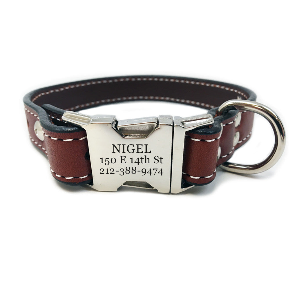 buckle dog collars