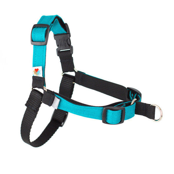 Linden Front-Leash Attachment Dog Harness - Turquoise ...