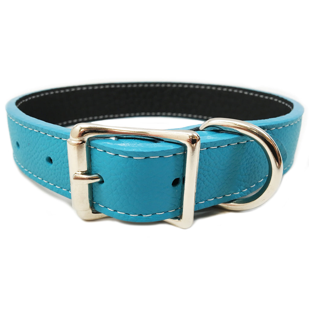 turquoise dog leash