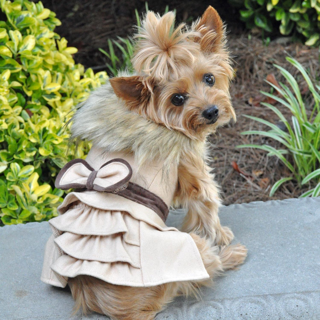 matching dog harness and leash