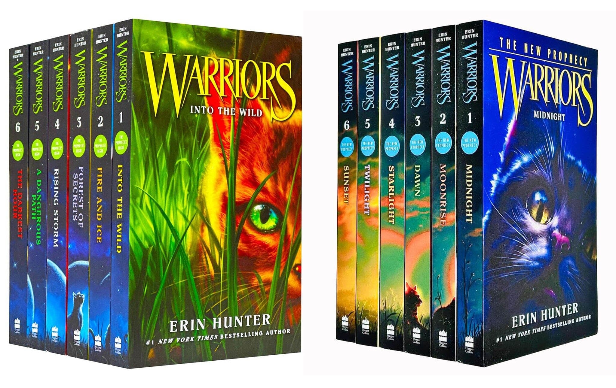 Warrior Cats Collection Erin Hunter 12 Books Set Series 1 and 2 | Erin  Hunter