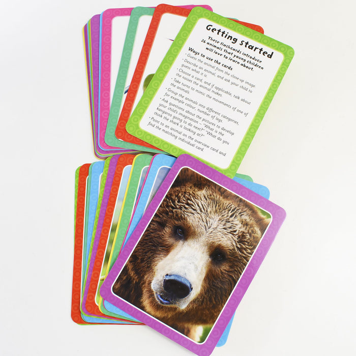 book 1-10 american girl wild at heart animal clinic adventures