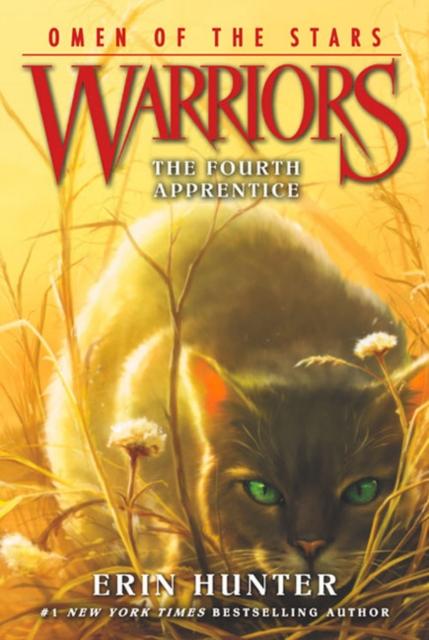 Warrior Cats: Series 3 The Power of Three by Erin Hunter 6 Books Colle —  Books2Door