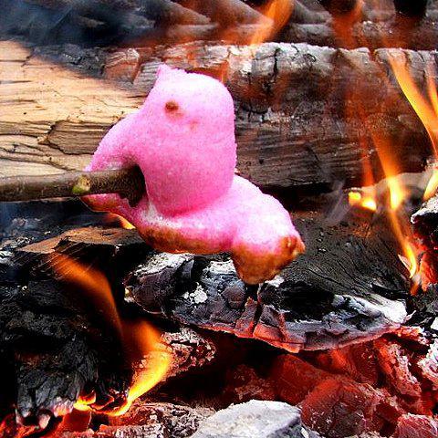 Marshmallow Peep melting over a fire