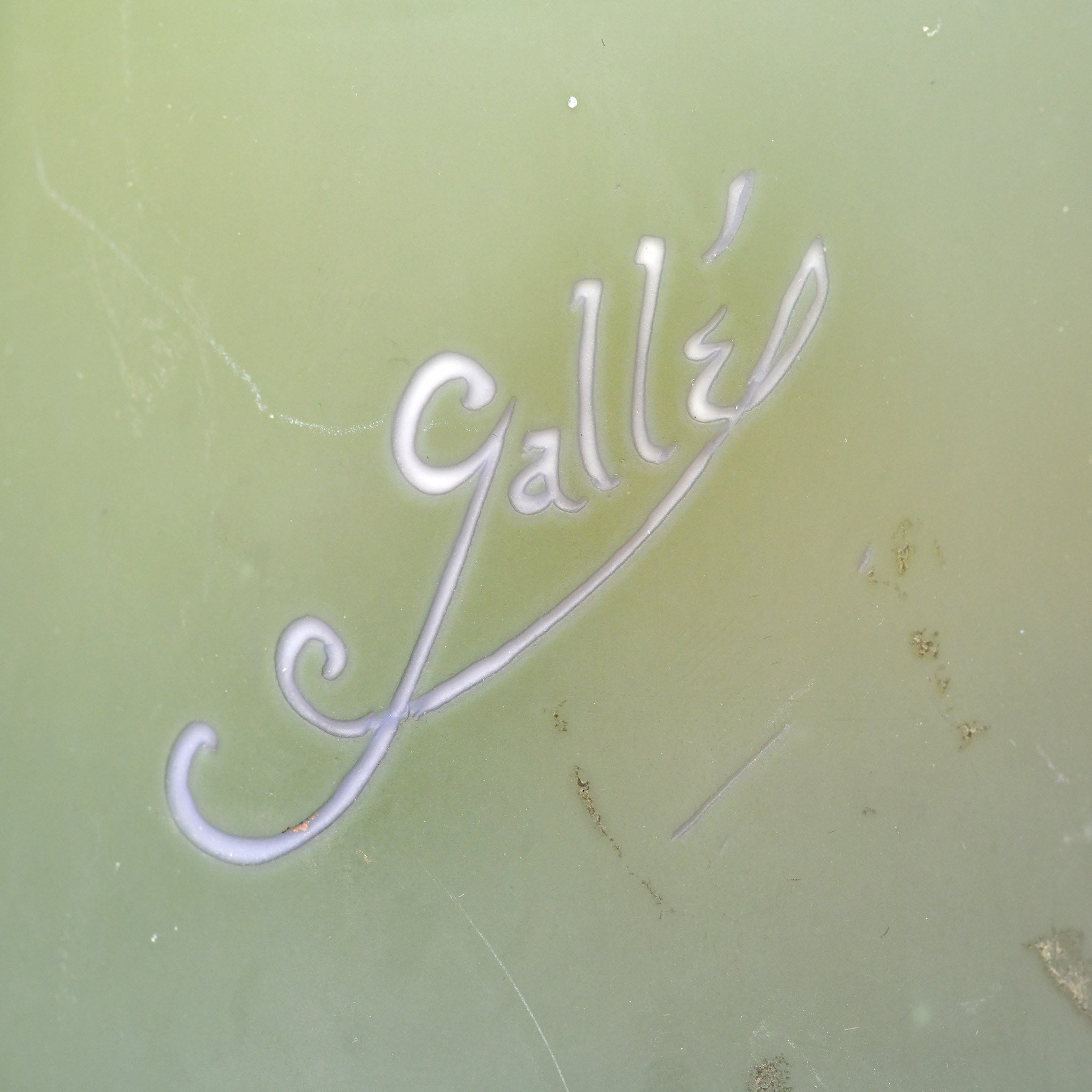 Émile Gallé & the Timeless Galle Vase: Art Nouveau's Masterpiece