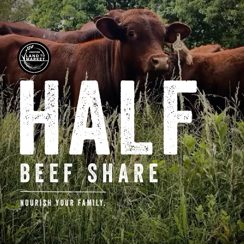 HALF BEEF SHARE - REP Provisions product image