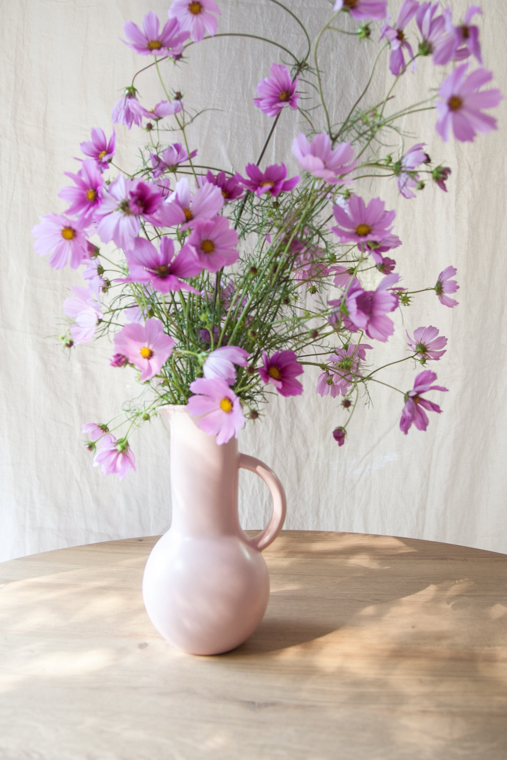 Primrose Pitcher / Wholesale