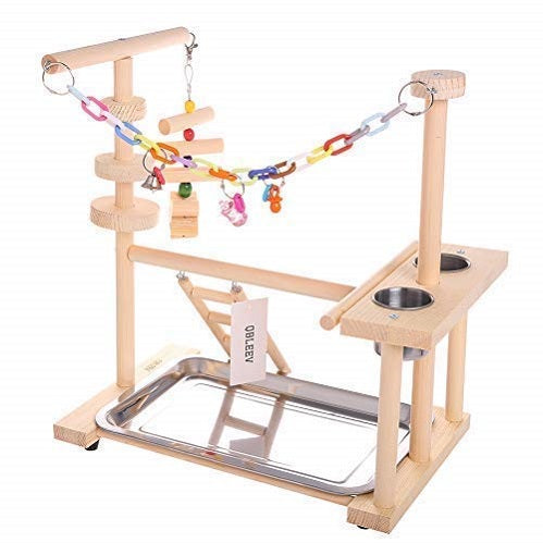 bird play stand