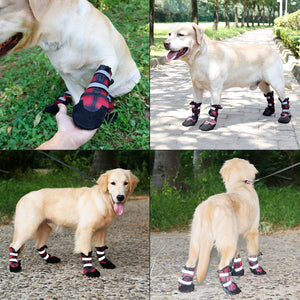 dog shoes boots