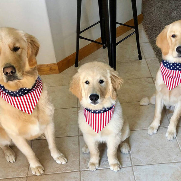 american flag dog bandana