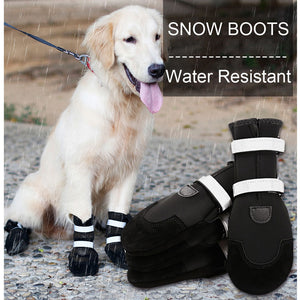 dog snow shoes boots