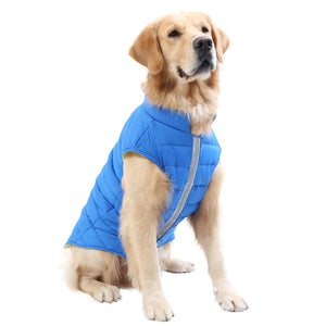 dog winter jacket