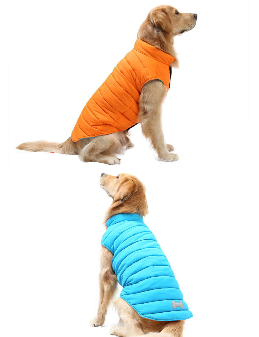 puppy dog coats