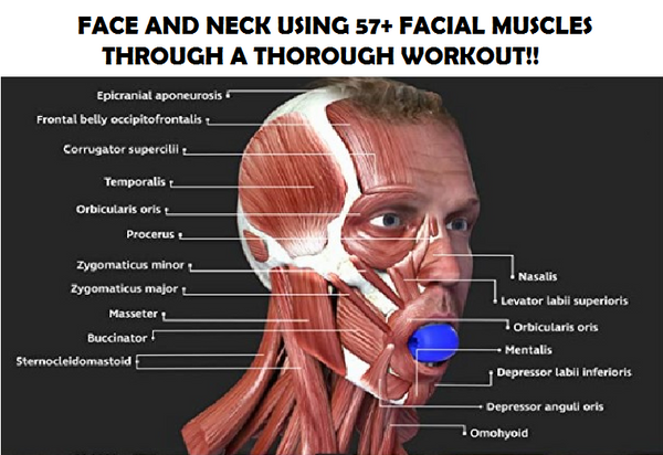 Facial Jaw Muscles Exercise for Stronger Jawline