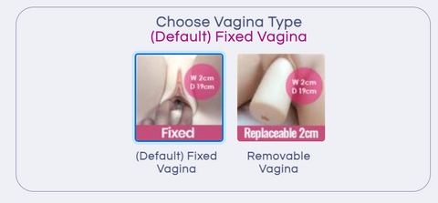 Choose Vagina Type - SDG doll store