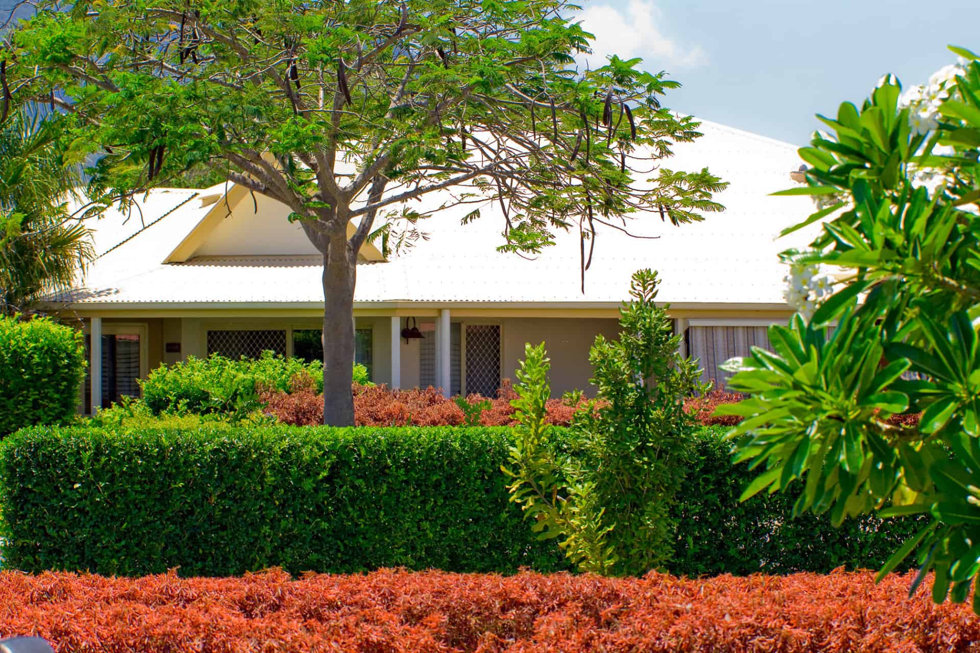 hedges in a residential backyard