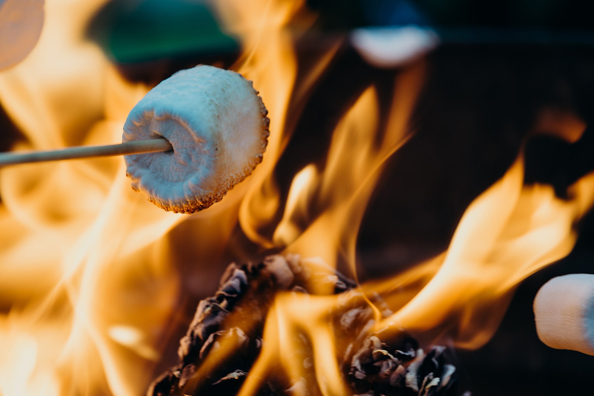 Marshmallows roasting on an open fire