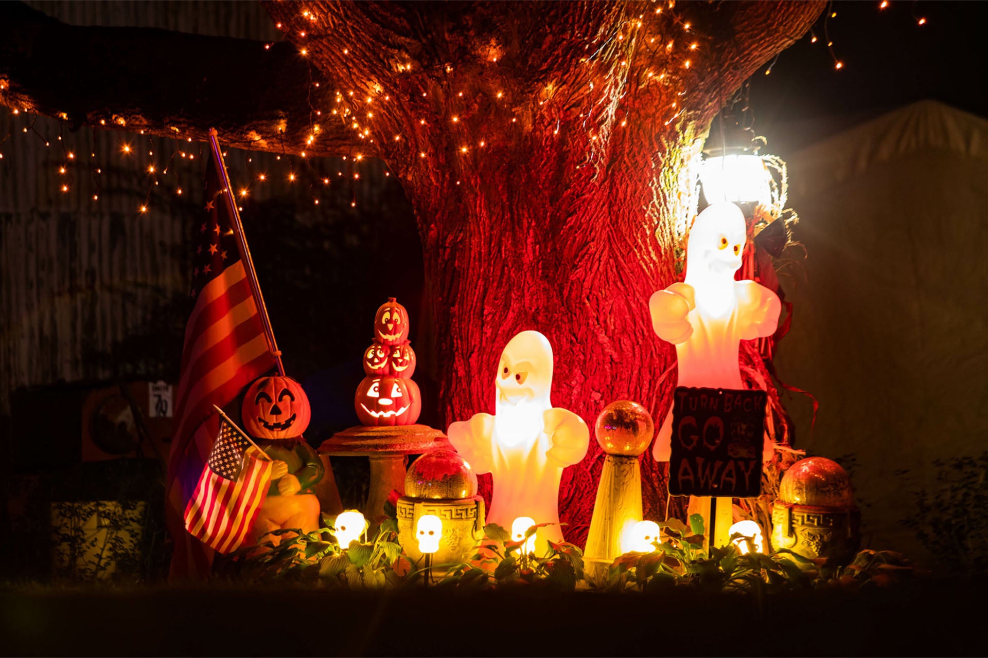 tree surrounded by carved pumpkin and lights for Halloween