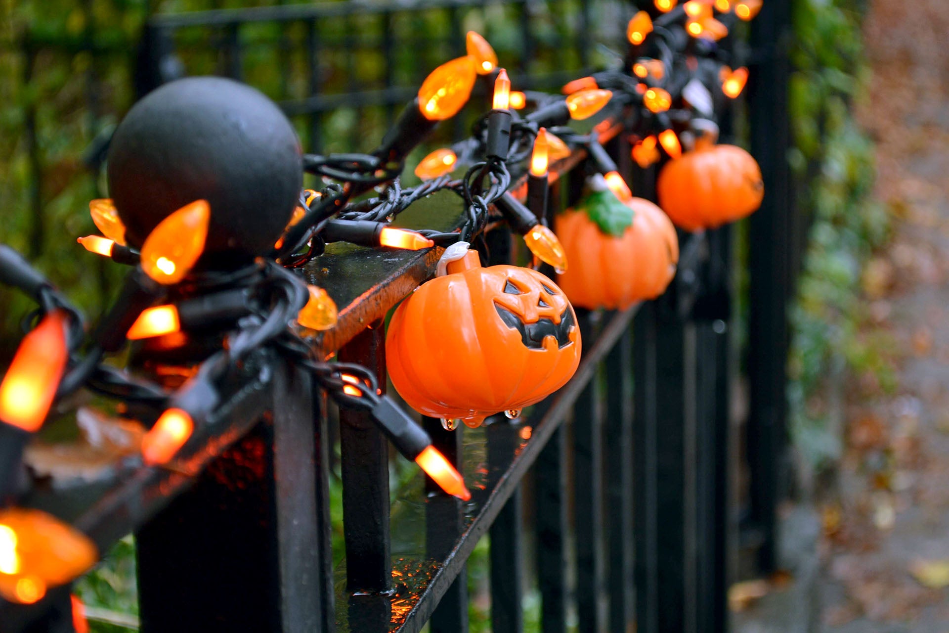 pumpkin string lights on a fence