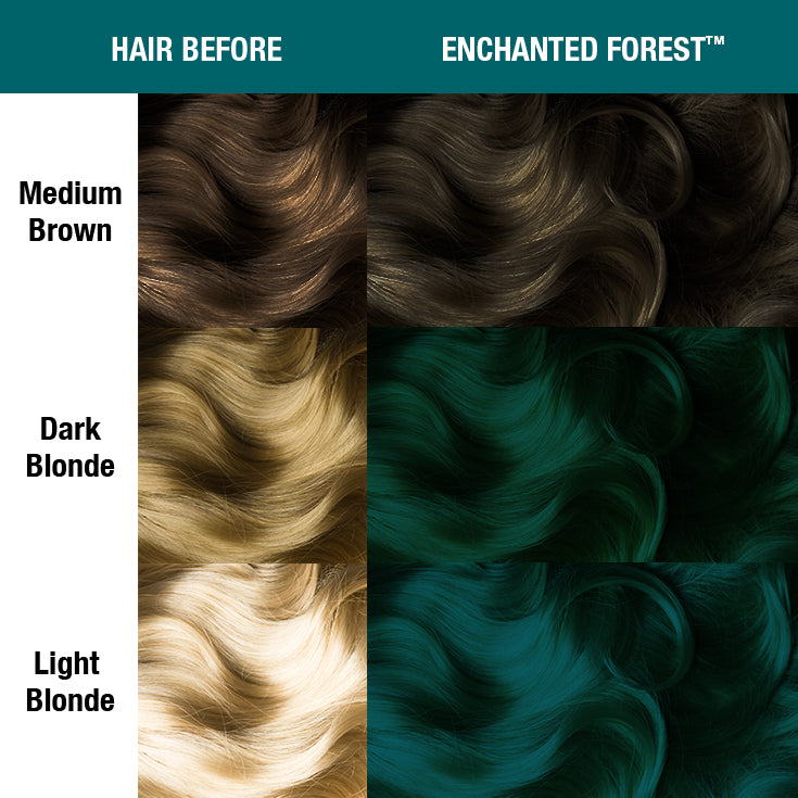 Enchanted Forest® - Classic High Voltage® - Tish & Snooky's Manic Panic