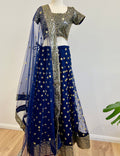 Lehenga and sari