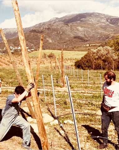 Allevamento di luppolo di Ribella