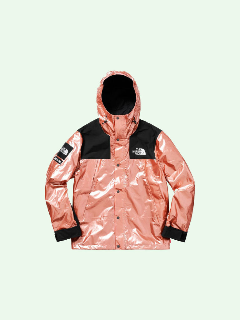 the north face metallic jacket