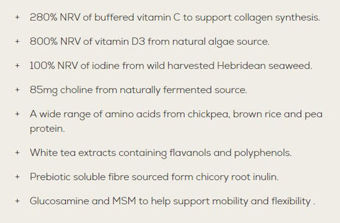 Nutrition Support Vegan Naked Collagyn